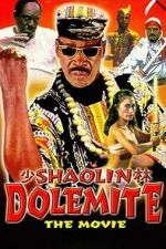 Watch Shaolin Dolemite Zmovies