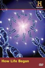 Watch How Life Began Zmovies