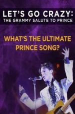 Watch Let\'s Go Crazy: The Grammy Salute to Prince Zmovies