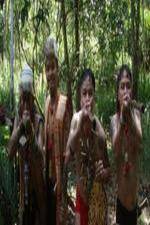 Watch National Geographic Headhunters Of WWII Zmovies