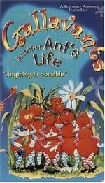 Watch Gallavants Zmovies