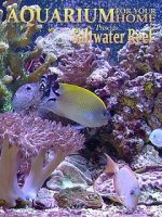 Watch Aquarium for Your Home: Saltwater Reef Zmovies