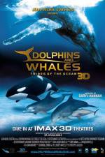 Watch Dolphins and Whales 3D Tribes of the Ocean Zmovies