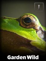 Watch Garden Wild! Zmovies