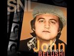 Watch Saturday Night Live: The Best of John Belushi Zmovies