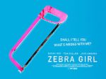 Watch Zebra Girl Zmovies