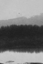 Watch Ch\'an Zmovies