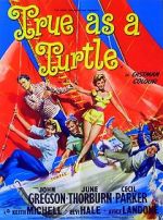 Watch True as a Turtle Zmovies