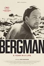 Watch Bergman: A Year in the Life Zmovies