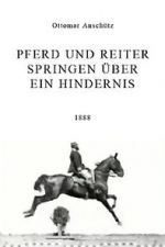 Watch Pferd und Reiter Springen ber ein Hindernis Zmovies