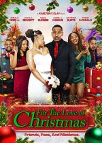 Watch For the Love of Christmas Zmovies