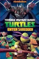 Watch Teenage Mutant Ninja Turtles: Enter Shredder Zmovies