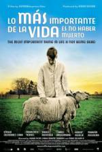 Watch The Most Important Thing in Life Is Not Being Dead Zmovies