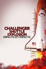 Watch Challenger Shuttle Disaster: Minute by Minute Zmovies