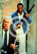 Watch Case Closed Zmovies