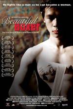 Watch Beautiful Boxer Zmovies