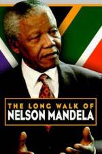 Watch The Diamond Empire Zmovies