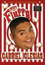 Watch Gabriel Iglesias: Hot and Fluffy Zmovies