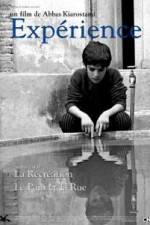 Watch The Experience Zmovies