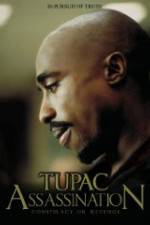 Watch Assassination: Conspiracy or Revenge Zmovies