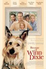 Watch Because of Winn-Dixie Zmovies