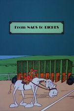 Watch From Nags to Riches Zmovies