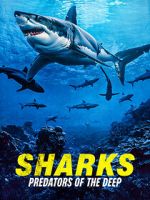 Watch Sharks: Predators of the Deep Zmovies