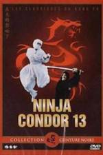 Watch Ninjas Condors 13 Zmovies