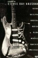 Watch A Tribute to Stevie Ray Vaughan Zmovies