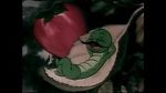 Watch The Wacky Worm (Short 1941) Zmovies