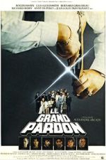 Watch The Big Pardon Zmovies