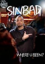 Watch Sinbad: Where U Been? Zmovies
