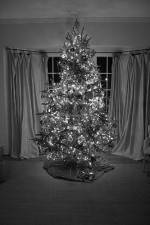 Watch The Christmas Miracle Zmovies