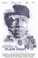 Watch Hiding in Plain Sight Zmovies