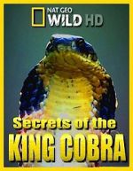 Watch Secrets of the King Cobra Zmovies