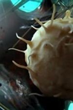 Watch Our Secret Universe: The Hidden Life of the Cell Zmovies