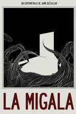 Watch The Bird Spider Zmovies