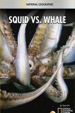 Watch National Geographic Wild - Squid Vs Whale Zmovies