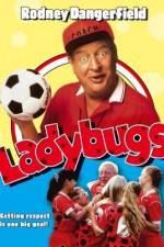 Watch Ladybugs Zmovies