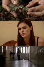 Watch How Drugs Work: Cannabis Zmovies