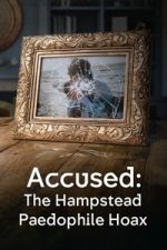 Watch Accused: The Hampstead Paedophile Hoax Zmovies