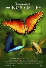 Watch Disneynature: Wings of Life Zmovies