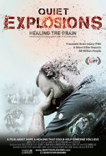 Watch Quiet Explosions: Healing the Brain Zmovies