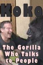 Watch Koko: The Gorilla Who Talks to People Zmovies