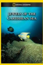 Watch National Geographic Jewels of the Caribbean Sea Zmovies