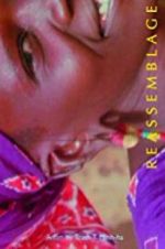 Watch Reassemblage: From the Firelight to the Screen Zmovies