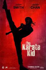 Watch The Karate Kid Zmovies