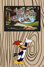 Watch The Redwood Sap (Short 1951) Zmovies