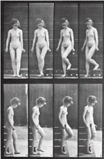 Watch Woman Walking Downstairs Zmovies