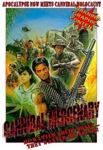 Watch The Mercenary Zmovies
